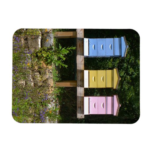 Beehive Magnet (Horizontal)