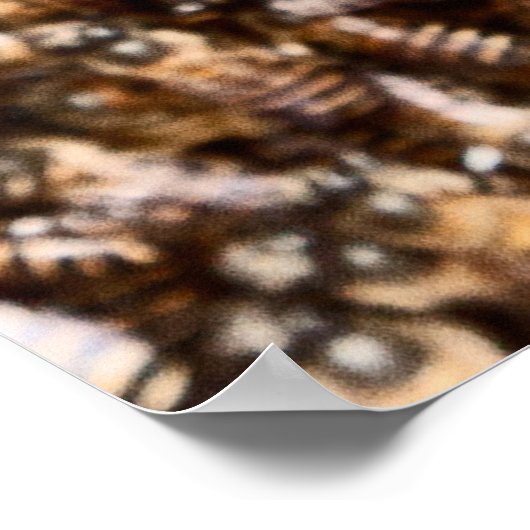 BEEHIVE POSTER (Ecke)