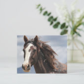 beeindruckend postkarte (Stehend Vorderseite)