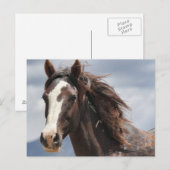 beeindruckend postkarte (Vorne/Hinten)
