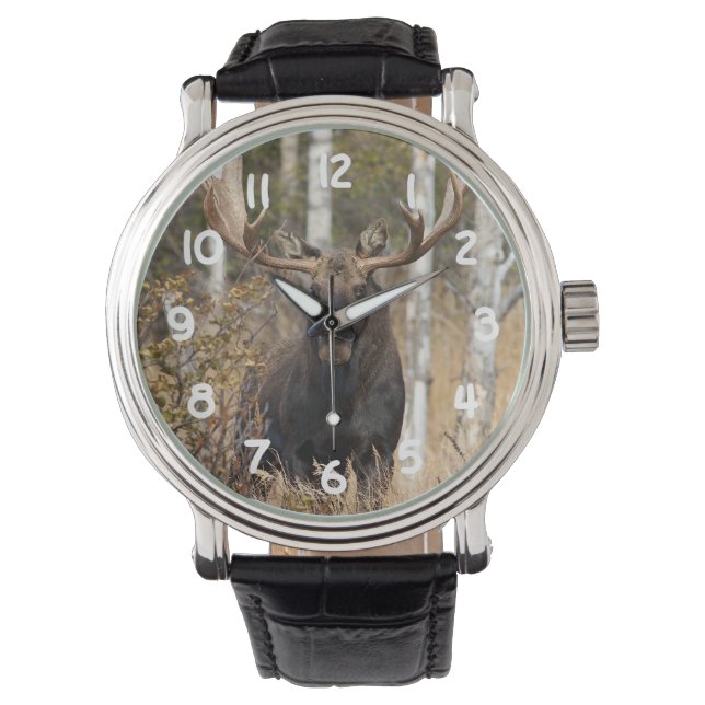 Beeindruckende Bull Moose Armbanduhr (Vorderseite)