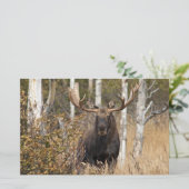 Beeindruckende Bull Moose Briefpapier (Stehend Vorderseite)
