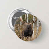 Beeindruckende Bull Moose Button (Vorne & Hinten)
