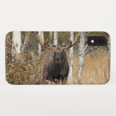 Beeindruckende Bull Moose Case-Mate iPhone Hülle (Rückseite (Horizontal))