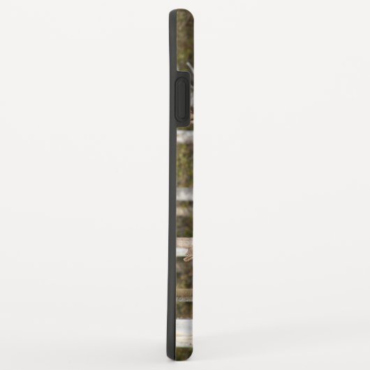 Beeindruckende Bull Moose Case-Mate iPhone Hülle (Hinten/Rechts)