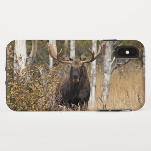 Beeindruckende Bull Moose Case-Mate iPhone Hülle