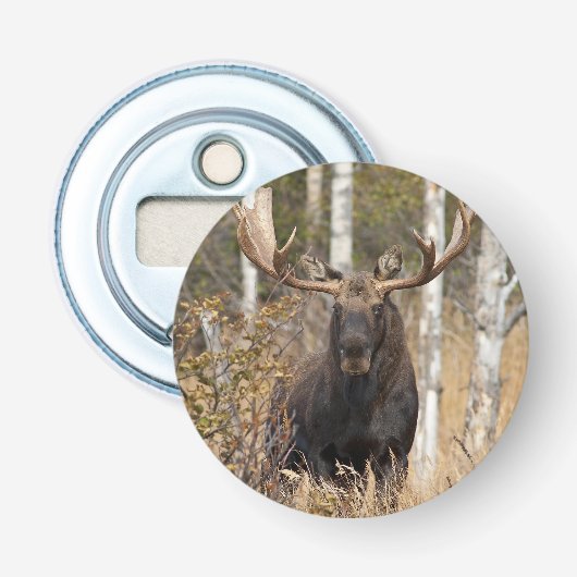 Beeindruckende Bull Moose Flaschenöffner (Vorderseite)