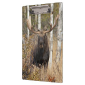 Beeindruckende Bull Moose Klemmbrett (Links)
