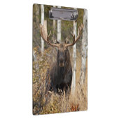 Beeindruckende Bull Moose Klemmbrett (Rechts)
