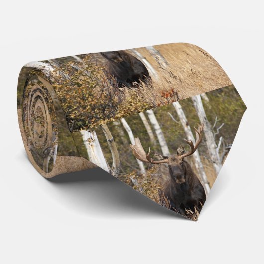 Beeindruckende Bull Moose Krawatte (Gerollt)