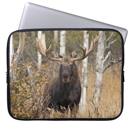 Beeindruckende Bull Moose Laptopschutzhülle (Vorderseite)