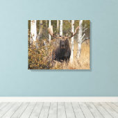Beeindruckende Bull Moose Leinwanddruck (Insitu (Holzboden))