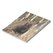 Beeindruckende Bull Moose Notizblock (Rotiert)