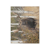 Beeindruckende Bull Moose Notizblock (Rotiert)