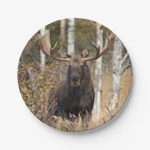 Beeindruckende Bull Moose Pappteller