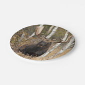 Beeindruckende Bull Moose Pappteller (Schrägansicht)