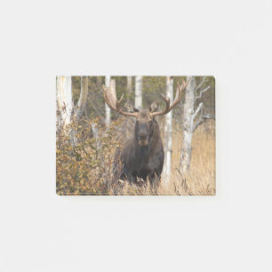 Beeindruckende Bull Moose Post-it Klebezettel