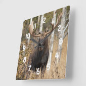 Beeindruckende Bull Moose Quadratische Wanduhr (Winkel)
