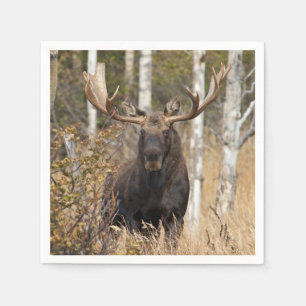 Beeindruckende Bull Moose Serviette