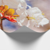 Beeindruckende Sakura-Blume an einem sonnigen Tag Geschenkpapier (Ecke)