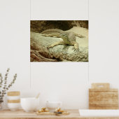 Beeindruckende Sand-Goanna Poster (Küche)