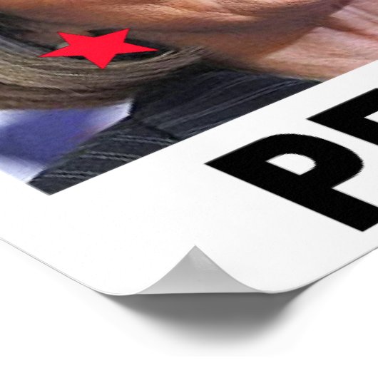 BEEINTRÄCHTIGEN SOZIALISTISCHE DEMOKRATEN POSTER (Ecke)