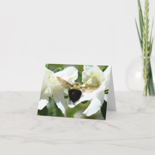 Bee'n beschäftigt karte (Vorderseite)