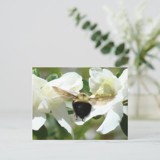 Bee'n beschäftigt postkarte (Stehend Vorderseite)