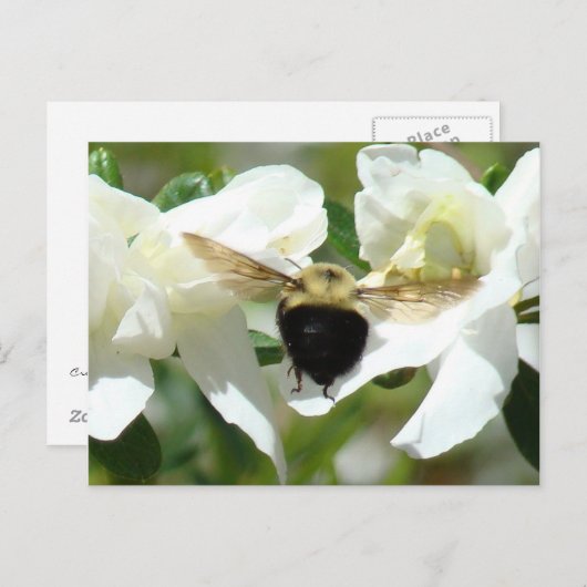 Bee'n beschäftigt postkarte (Vorne/Hinten)