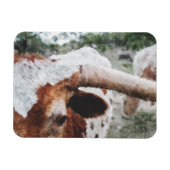 Beenden Impressionist Painted Longhorn Magnet (Horizontal)