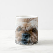 Beenden Sie Ihren Kaffee schon?  Lassen Sie uns Kaffeetasse (Mittel)