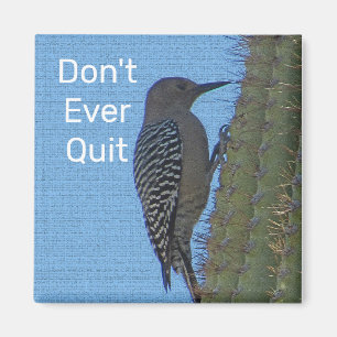 Beenden Sie nicht die Motivation des Woodpecker-Fo Magnet