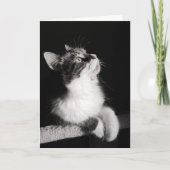 Beendigen Sie nicht, Karte zu träumen (Vorderseite)