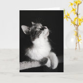 Beendigen Sie nicht, Karte zu träumen (Gelbe Blume)