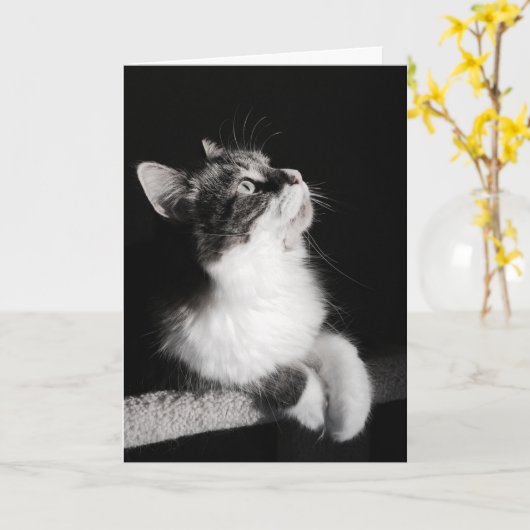 Beendigen Sie nicht, Karte zu träumen (Gelbe Blume)