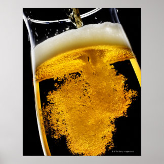 Beer been poured into glass, studio shot poster