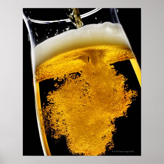 Beer been poured into glass, studio shot poster (Vorne)