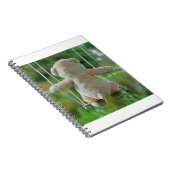 Beer op schommel vanaf de rug. notizblock (Rechte Seite)