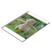 Beer op schommel vanaf de rug. notizblock (Linke Seite)