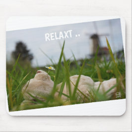 Beer relaxt in natuur met Hollandse molen. Mousepad