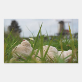 Beer relaxt in natuur met Hollandse molen. Rechteckiger Aufkleber