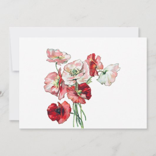 Beerdigung Bereavement Watercolor Poppies Danke (Rückseite)