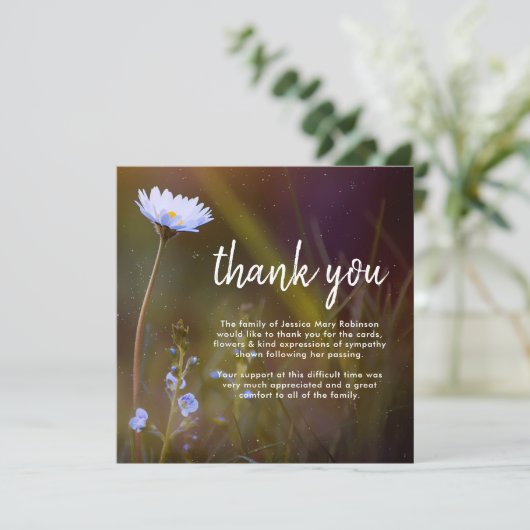 Beerdigung danke | Daisy-Blume (Stehend Vorderseite)