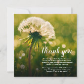 Beerdigung danke | Dandelion Wish Bereavement (Vorderseite)