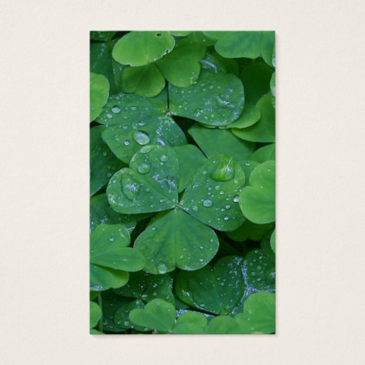 Beerdigung Verlust Kleeblatt Gebet Sympathiekarten (Vorderseite)