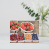 Beeren am Markt Postkarte (Stehend Vorderseite)