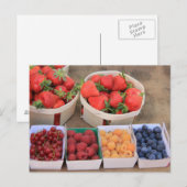 Beeren am Markt Postkarte (Vorne/Hinten)