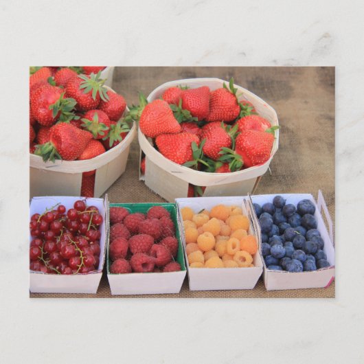 Beeren am Markt Postkarte (Vorderseite)