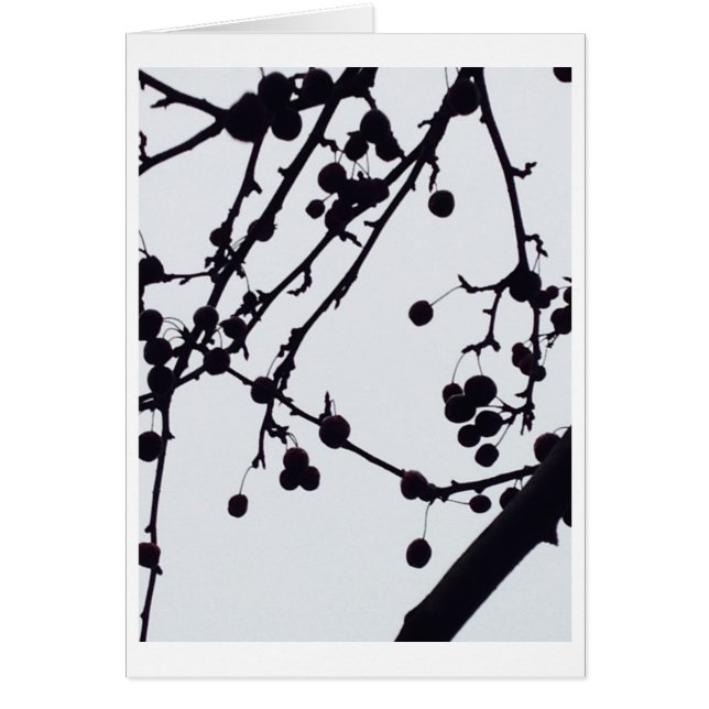 Beeren-Baum gegen den Himmel (Vorne)