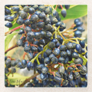 Beeren! GlasUntersetzer LK